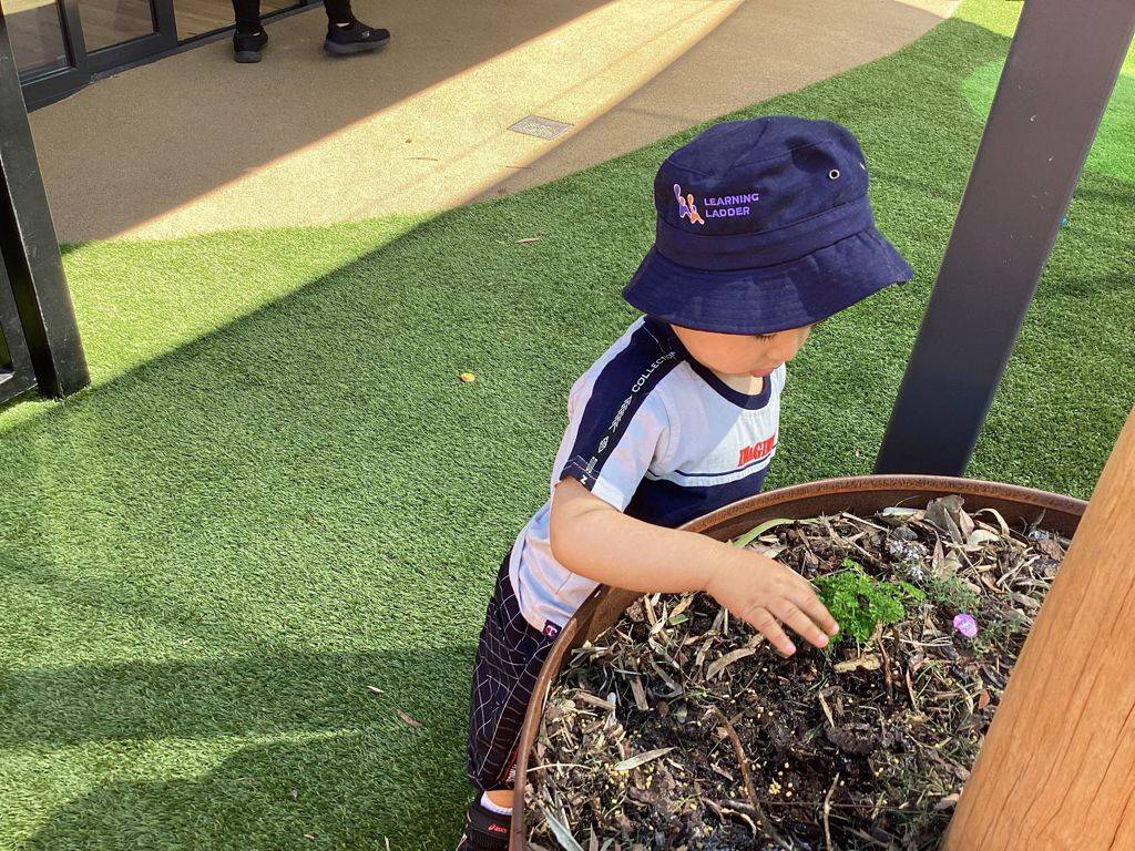 Practicing Sustainability -Gardening