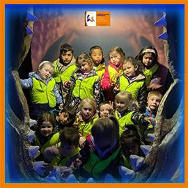 Underwater Wonders: A Day at the Aquarium with Learning Ladder Cranbourne